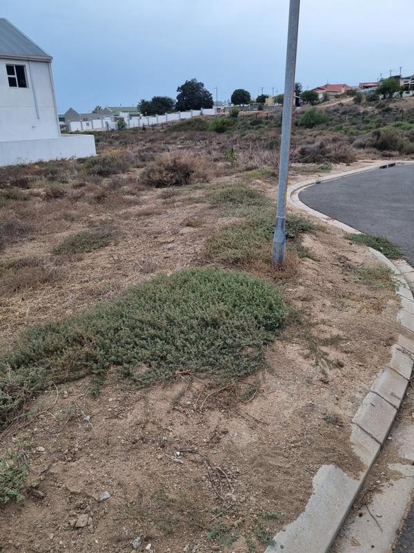 3 Bedroom Property for Sale in St Helena Views Western Cape